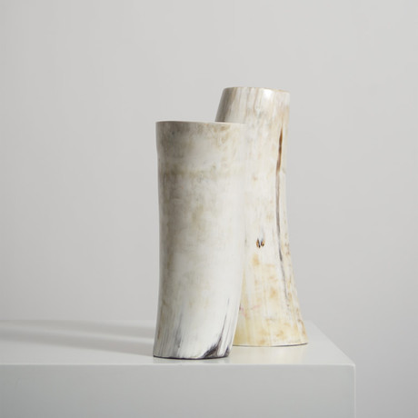 Light // Ankole Horn Vase (Medium)