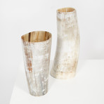 Light // Ankole Horn Vase (Medium)