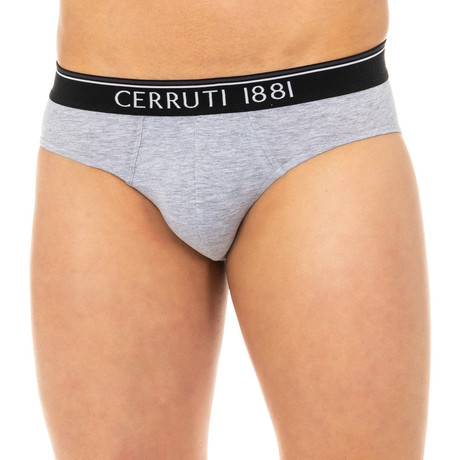 Albert Slip Briefs // Gray (Small)