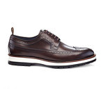 Anthony Louis Shoes // Brown (US: 10.5)