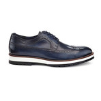 Anthony Louis Shoes // Navy (US: 8.5)