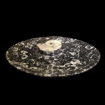 Ammonite + Belemnite Soap Dish