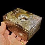 Ammonite and Belemnite Box // Rectangular