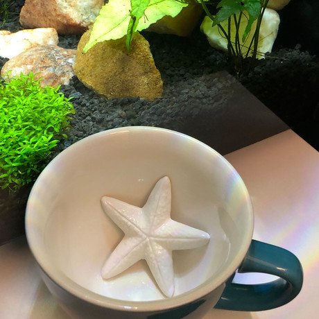 Starfish Cup // Set of 2