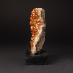 Citrine Crystal Cluster + Wooden Display Stand v.2