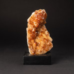 Citrine Crystal Cluster + Wooden Display Stand v.2