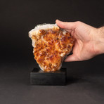 Citrine Crystal Cluster + Wooden Display Stand v.1