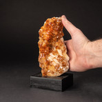 Citrine Crystal Cluster + Wooden Display Stand v.2