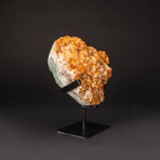 Citrine Crystal Cluster + Metal Stand v.2