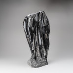 Orthoceras Fossil Statue