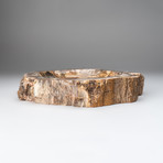 Petrafied Wood Bowl v.1