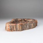 Petrified Wood Bowl v.2