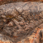 Petrified Wood Bowl v.2