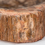 Petrified Wood Bowl v.2