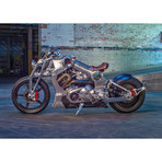 2020 P-51 Combat Fighter #14