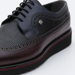 Kinsey Classic Shoe // Bordeaux + Navy (Euro: 45)