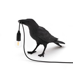 Bird Lamp // Black // Waiting
