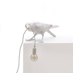 Bird Lamp // Outdoor // White // Playing