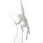 Resin Monkey Lamp // With Rope