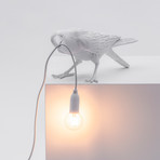 Bird Lamp // White // Playing
