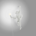 Monkey Lamp // Outdoor // White // Hanging #5