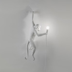 Monkey Lamp // Outdoor // White // Hanging