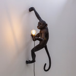 Monkey Lamp // Outdoor // Black // Hanging #5