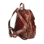 Zeffy Leather Backpack (Brown)