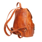 Zeffy Leather Backpack (Brown)