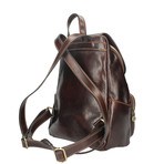 Zeffy Leather Backpack (Brown)