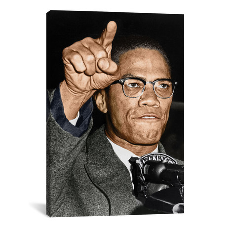 Malcolm X (1925-1965) // Granger (12"W x 18"H x 0.75"D)