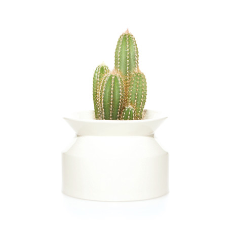 Spool Planter // White (Small)