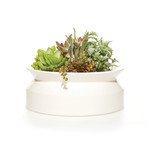 Spool Planter // Wide (White)