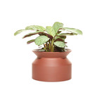 Spool Planter // Terracotta (Small)