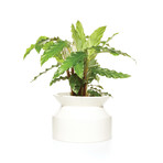 Spool Planter // White (Small)