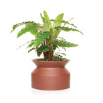 Spool Planter // Terracotta (Small)