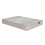 Thermovisco Mattress (Twin)