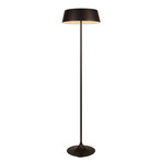 China Floor Lamp