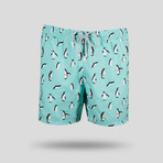 Penguin Swim Short // Teal (L)