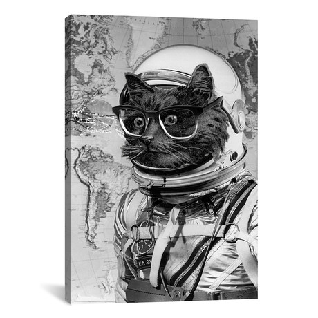 Eugenia Loli - Space Kitten // Eugenia Loli (12"W x 18"H x 0.75"D)