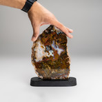 Red Quartz Agate Slice on Wooden Stand