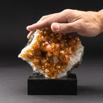 Citrine Crystal Cluster + Wooden Display Stand // V1