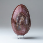 Petrified Wood Egg + Acrylic Display Ring // V1