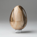 Petrified Wood Egg + Acrylic Display Ring // V2