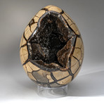 Septarian Druzy Egg // V2