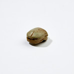 Large Egyptian Scarab // Ex Boston Museum Of Fine Arts, Deaccession