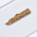 Ancient papyrus scroll fragment from the Holy Land