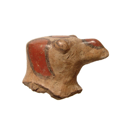 Ancient Ceramic Bird's Head // Costa Rica, c. 1000 - 1500 AD