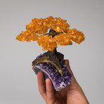 The Money Tree // Citrine Clustered Gemstone Tree + Amethyst Matrix