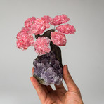 The Love Tree // Rose Quartz Clustered Gemstone Tree + Amethyst Matrix // Medium